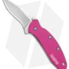 Kershaw Chive Assisted Opening Knife Pink (1.94" Bead Blast) 1600PINK