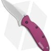 Kershaw Scallion Assisted Opening Knife Purple (2.25" Bead Blast) 1620PUR -Kershaw Store Kershaw Scallion purple bb BHQ 14804 er