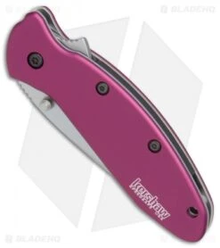 Kershaw Scallion Assisted Opening Knife Purple (2.25" Bead Blast) 1620PUR -Kershaw Store Kershaw Scallion purple bb BHQ 14804 er spine