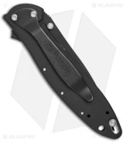 Kershaw Store -Kershaw Store kershaw leek 1660CKT back bhq 0021 jr
