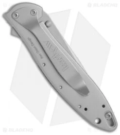 Kershaw Leek Assisted Opening Knife (3" Composite) 1660CB -Kershaw Store kershaw leek ken onion 1660cb bhq 2420 jr side