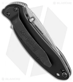 Kershaw Scallion Assisted Opening Knife Black (2.25" Stonewash) 1620SWBLK -Kershaw Store kershaw scallion assisted sw 1620swblk bhq36348 cm side